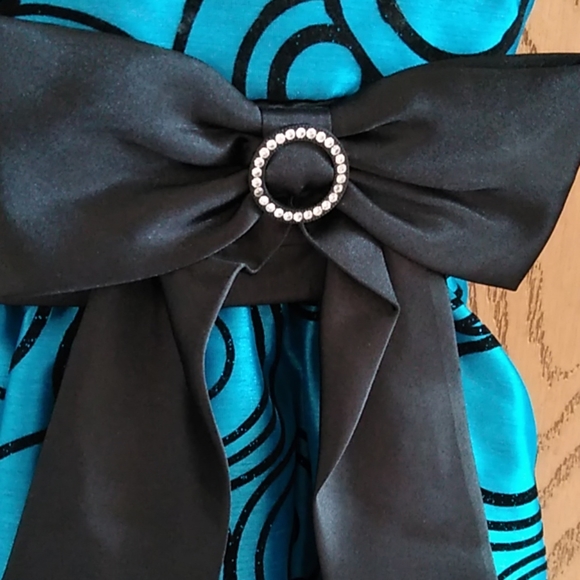 Jona Michelle girls fancy dress - Picture 4 of 5